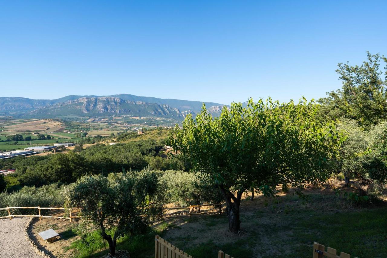 U Saccataro Casa Vacanze Ogliastro Cilento Esterno foto