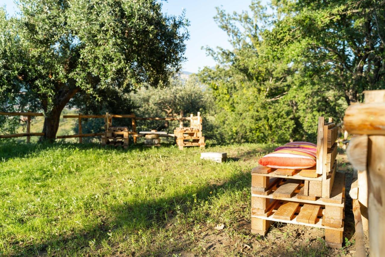 U Saccataro Casa Vacanze Ogliastro Cilento Esterno foto